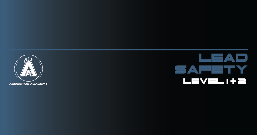 Lead-catalogue-level-1-+-2